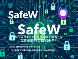 Safew电脑版提示安全风险？处理方式与建议？